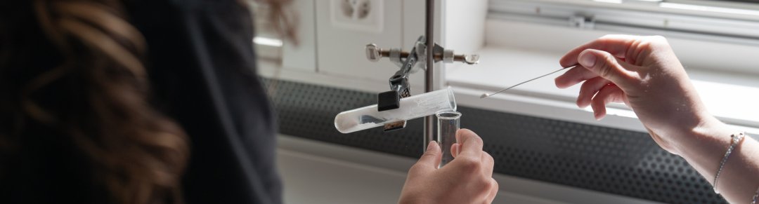 Children in the school gymnasium